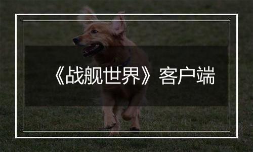《战舰世界》客户端