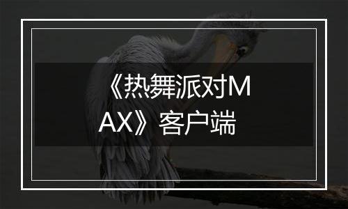 《热舞派对MAX》客户端