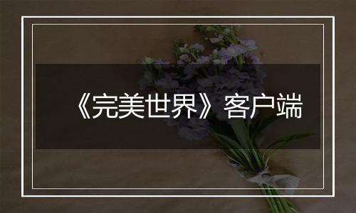 《完美世界》客户端