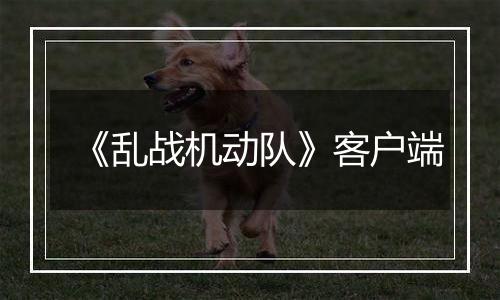 《乱战机动队》客户端