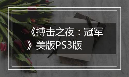 《搏击之夜：冠军》美版PS3版