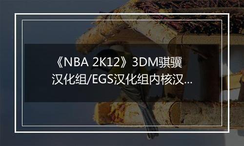 《NBA 2K12》3DM骐骥汉化组/EGS汉化组内核汉化版