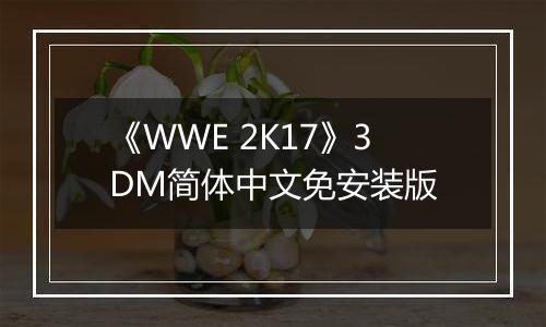 《WWE 2K17》3DM简体中文免安装版