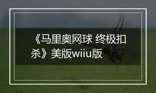 《马里奥网球 终极扣杀》美版wiiu版