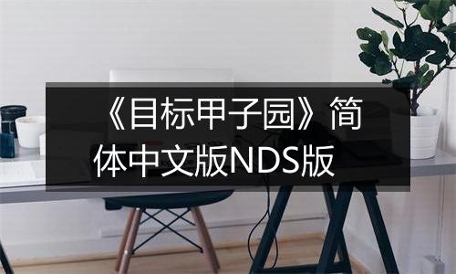 《目标甲子园》简体中文版NDS版
