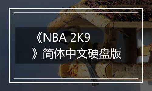 《NBA 2K9》简体中文硬盘版