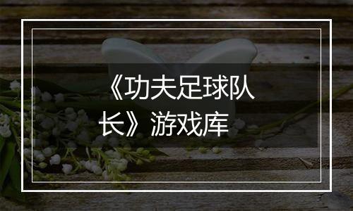 《功夫足球队长》游戏库