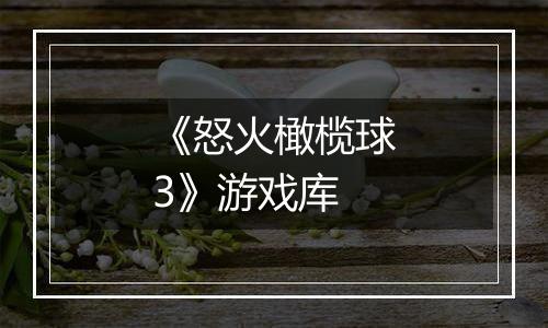 《怒火橄榄球3》游戏库