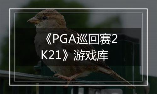 《PGA巡回赛2K21》游戏库