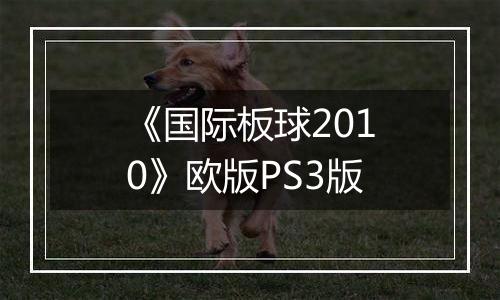 《国际板球2010》欧版PS3版
