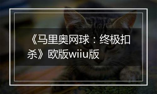 《马里奥网球：终极扣杀》欧版wiiu版