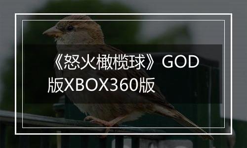 《怒火橄榄球》GOD版XBOX360版