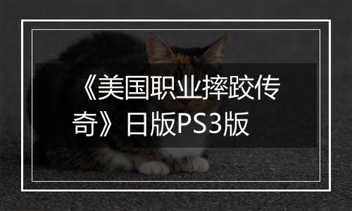《美国职业摔跤传奇》日版PS3版