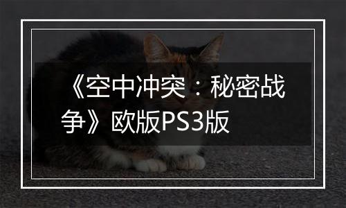《空中冲突：秘密战争》欧版PS3版