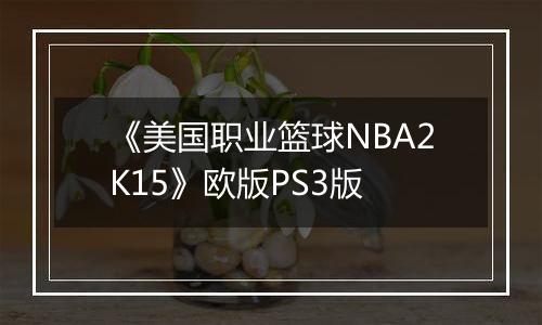 《美国职业篮球NBA2K15》欧版PS3版