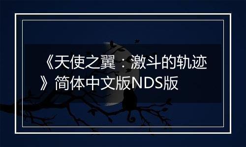 《天使之翼：激斗的轨迹》简体中文版NDS版