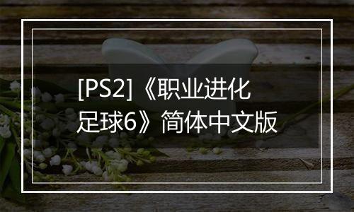 [PS2]《职业进化足球6》简体中文版
