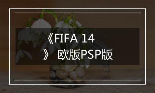《FIFA 14》 欧版PSP版