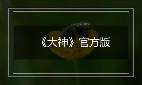 《大神》官方版