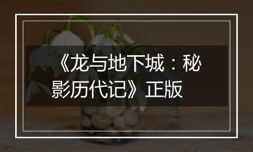 《龙与地下城：秘影历代记》正版