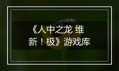 《人中之龙 维新！极》游戏库