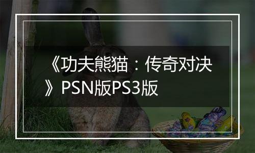 《功夫熊猫：传奇对决》PSN版PS3版