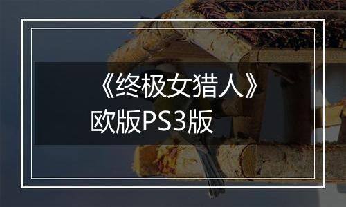 《终极女猎人》欧版PS3版