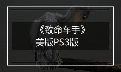 《致命车手》美版PS3版