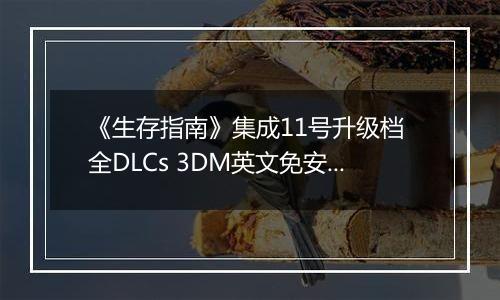 《生存指南》集成11号升级档 全DLCs 3DM英文免安装版