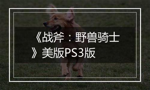 《战斧：野兽骑士》美版PS3版