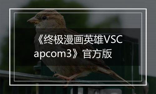 《终极漫画英雄VSCapcom3》官方版