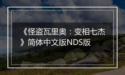 《怪盗瓦里奥：变相七杰》简体中文版NDS版
