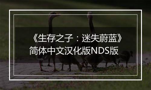 《生存之子：迷失蔚蓝》简体中文汉化版NDS版