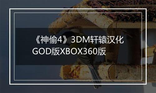 《神偷4》3DM轩辕汉化GOD版XBOX360版