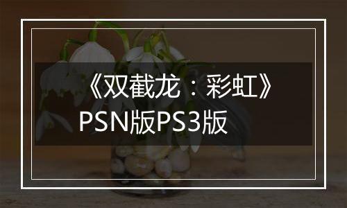 《双截龙：彩虹》PSN版PS3版