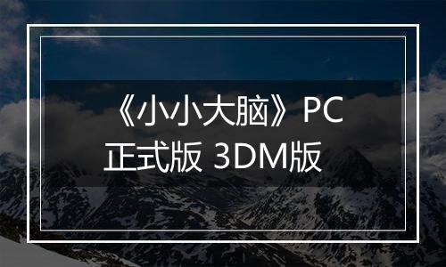 《小小大脑》PC正式版 3DM版