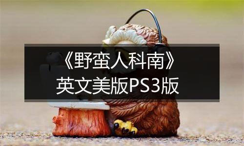 《野蛮人科南》 英文美版PS3版