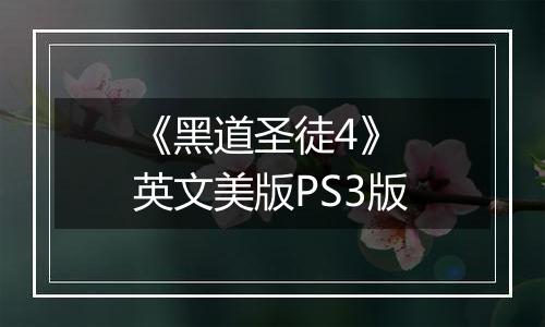《黑道圣徒4》 英文美版PS3版