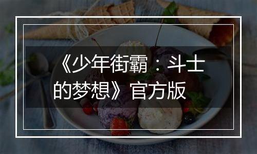 《少年街霸：斗士的梦想》官方版