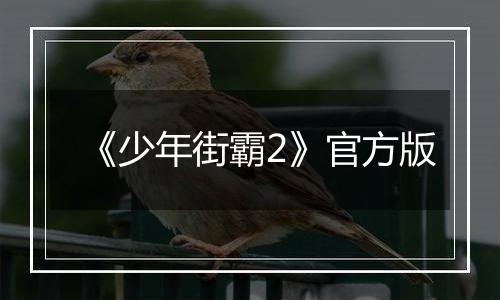 《少年街霸2》官方版
