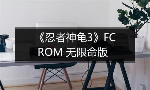 《忍者神龟3》FC ROM 无限命版