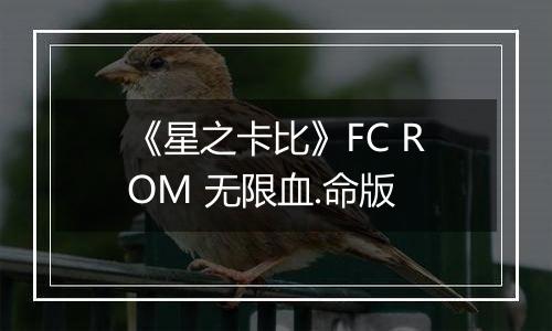 《星之卡比》FC ROM 无限血.命版