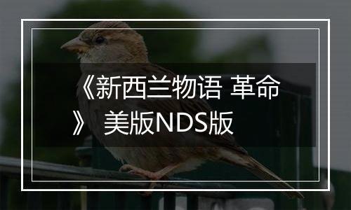 《新西兰物语 革命》 美版NDS版