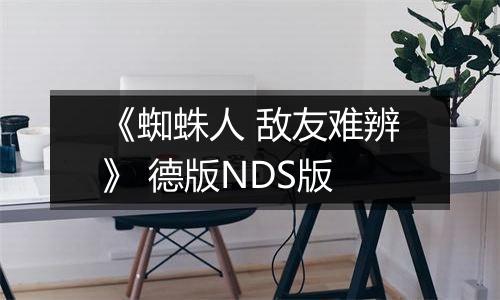 《蜘蛛人 敌友难辨》 德版NDS版
