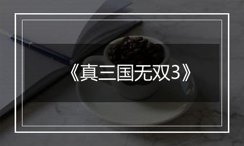 《真三国无双3》
