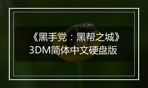 《黑手党：黑帮之城》3DM简体中文硬盘版