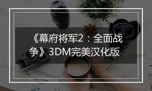 《幕府将军2：全面战争》3DM完美汉化版