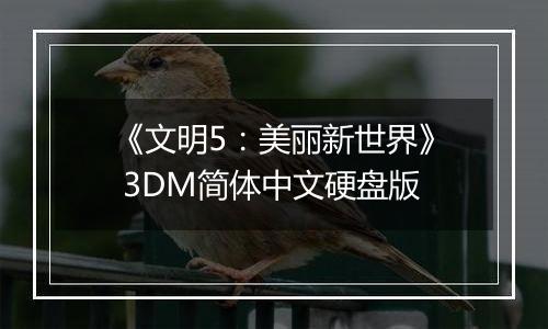 《文明5：美丽新世界》 3DM简体中文硬盘版