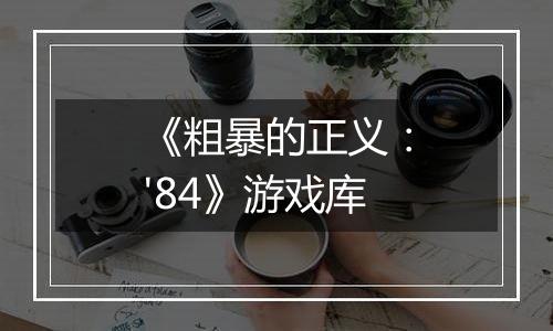 《粗暴的正义：'84》游戏库