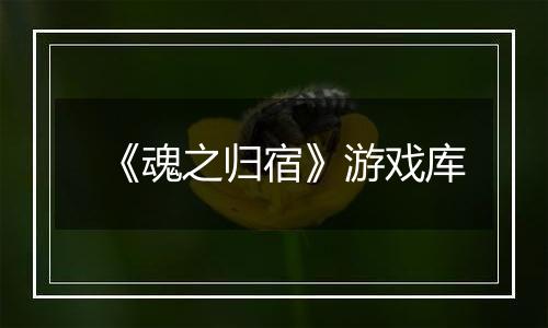 《魂之归宿》游戏库